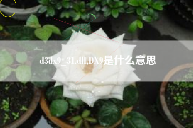 d3dx9_31.dll,DX9是什么意思