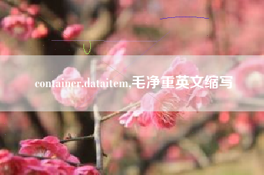 container.dataitem,毛净重英文缩写