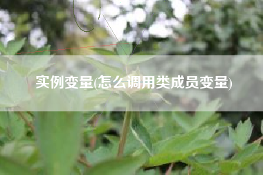 实例变量(怎么调用类成员变量)