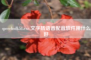 speechsdk51.exe,文字转语音配音软件用什么好