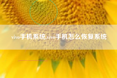 vivo手机系统,vivo手机怎么恢复系统