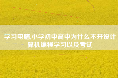 学习电脑,小学初中高中为什么不开设计算机编程学习以及考试
