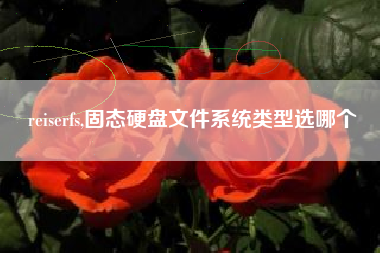 reiserfs,固态硬盘文件系统类型选哪个