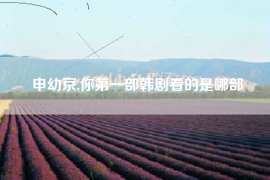 申幼京,你第一部韩剧看的是哪部