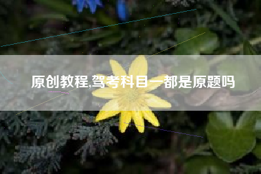 原创教程,驾考科目一都是原题吗