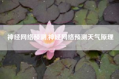 神经网络预测,神经网络预测天气原理