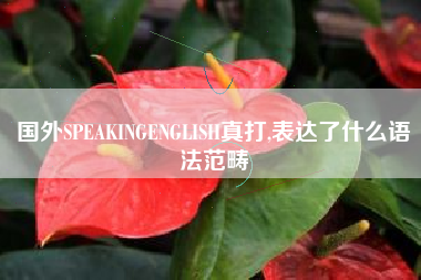 国外SPEAKINGENGLISH真打,表达了什么语法范畴