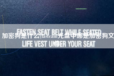 加密狗是什么(fastcam光盘中哪是加密狗文件)