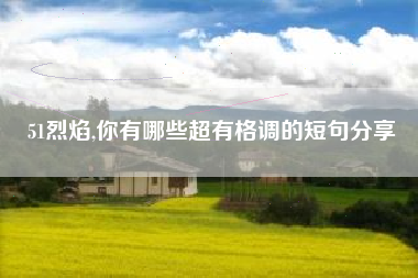 51烈焰,你有哪些超有格调的短句分享