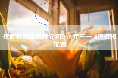挖掘机液压系统介绍,2019年三一60挖掘机配置