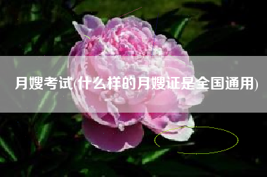 月嫂考试(什么样的月嫂证是全国通用)