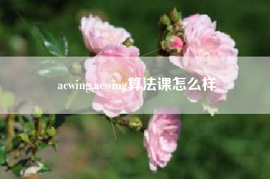 acwing,acwing算法课怎么样