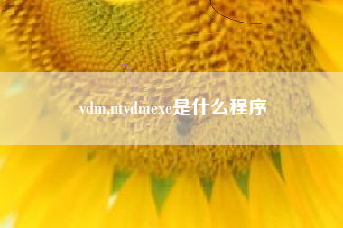 vdm,ntvdmexe是什么程序