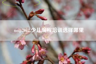 noip2012,少儿编程培训选择哪里