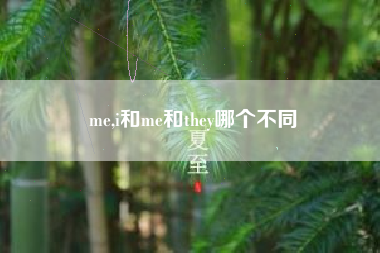 me,i和me和they哪个不同