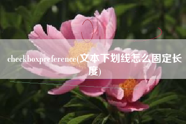 checkboxpreference(文本下划线怎么固定长度)