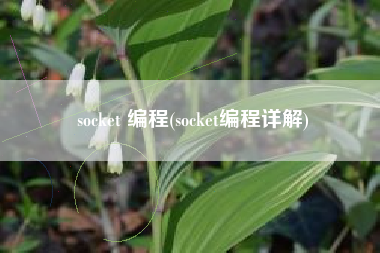 socket 编程(socket编程详解)