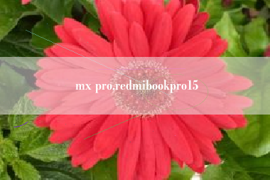mx pro,redmibookpro15