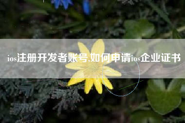 ios注册开发者账号,如何申请ios企业证书