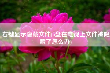 右键显示隐藏文件(u盘在电视上文件被隐藏了怎么办)