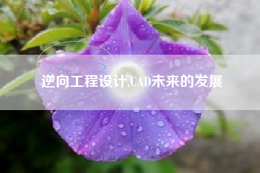 逆向工程设计,CAD未来的发展