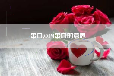 串口,COM串口的意思