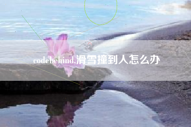codebehind,滑雪撞到人怎么办
