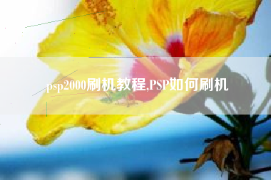 psp2000刷机教程,PSP如何刷机
