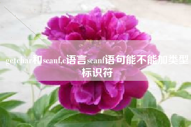 getchar和scanf,c语言scanf语句能不能加类型标识符