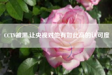CCTV被黑,让央视对他有如此高的认可度