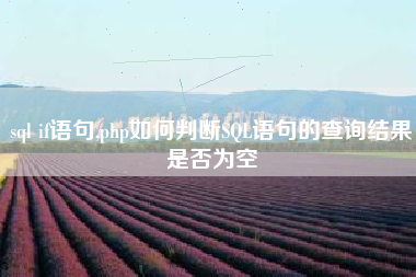 sql if语句,php如何判断SQL语句的查询结果是否为空