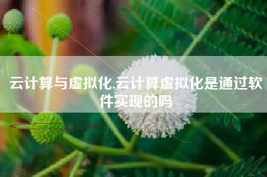 云计算与虚拟化,云计算虚拟化是通过软件实现的吗