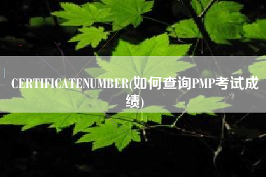 CERTIFICATENUMBER(如何查询PMP考试成绩)