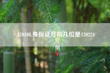 120108,身份证号前几位是120224