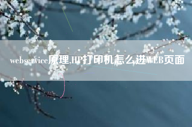 webservice原理,HP打印机怎么进WEB页面