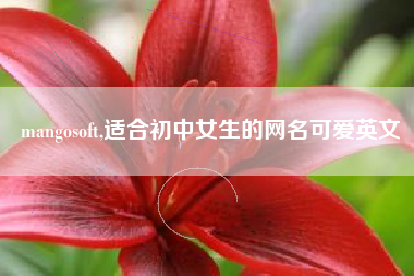 mangosoft,适合初中女生的网名可爱英文