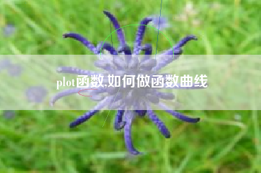 plot函数,如何做函数曲线