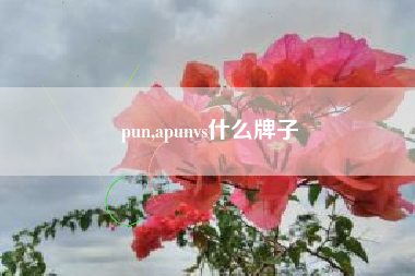 pun,apunvs什么牌子