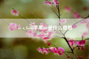 os x lion,苹果air是什么意思