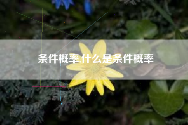 条件概率,什么是条件概率