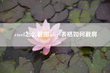excel怎么截图,excel表格如何截屏