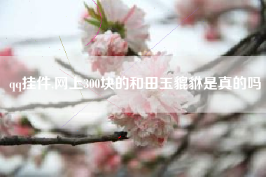 qq挂件,网上300块的和田玉貔貅是真的吗