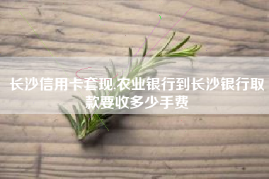 长沙信用卡套现,农业银行到长沙银行取款要收多少手费