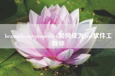 beanutils.copyproperties,如何成为Java软件工程师
