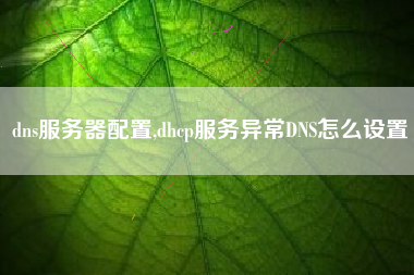 dns服务器配置,dhcp服务异常DNS怎么设置