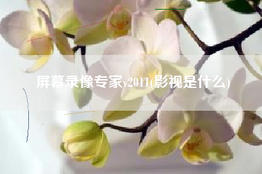 屏幕录像专家v2011(影视是什么)