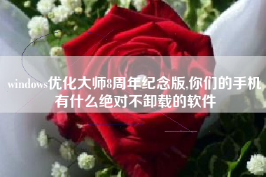 windows优化大师8周年纪念版,你们的手机有什么绝对不卸载的软件