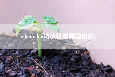 eden(eden功放机是哪国出的)