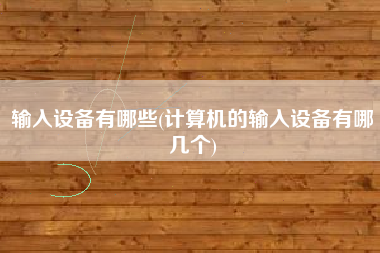 输入设备有哪些(计算机的输入设备有哪几个)