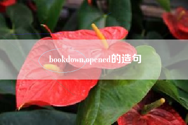 bookdown,opened的造句